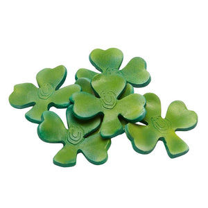 Shamrock Magnet