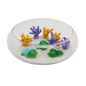 Shelly the Turtle
