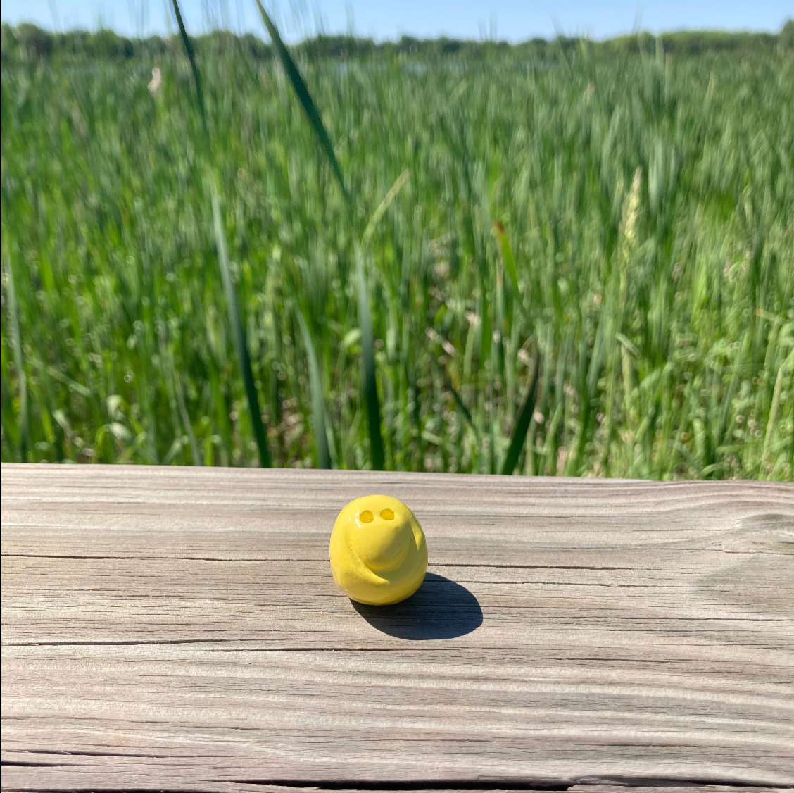 SPARK ⭕ Sharing Seeds Can Be Addictive