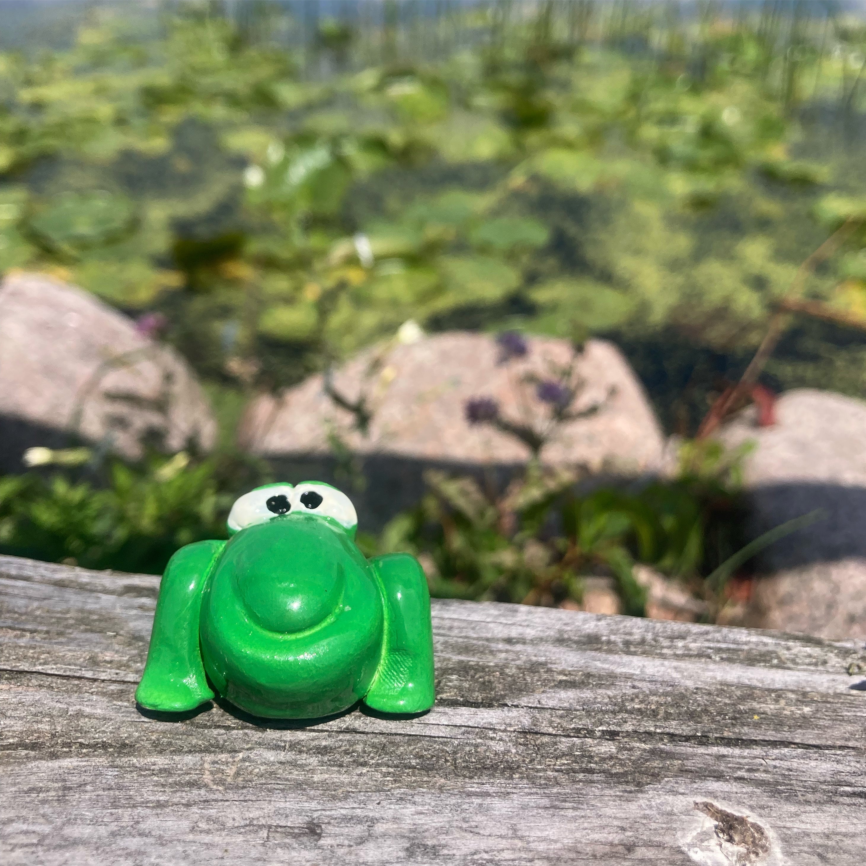 SPARK ⭕ A Hoppy Reminder of a Loved One