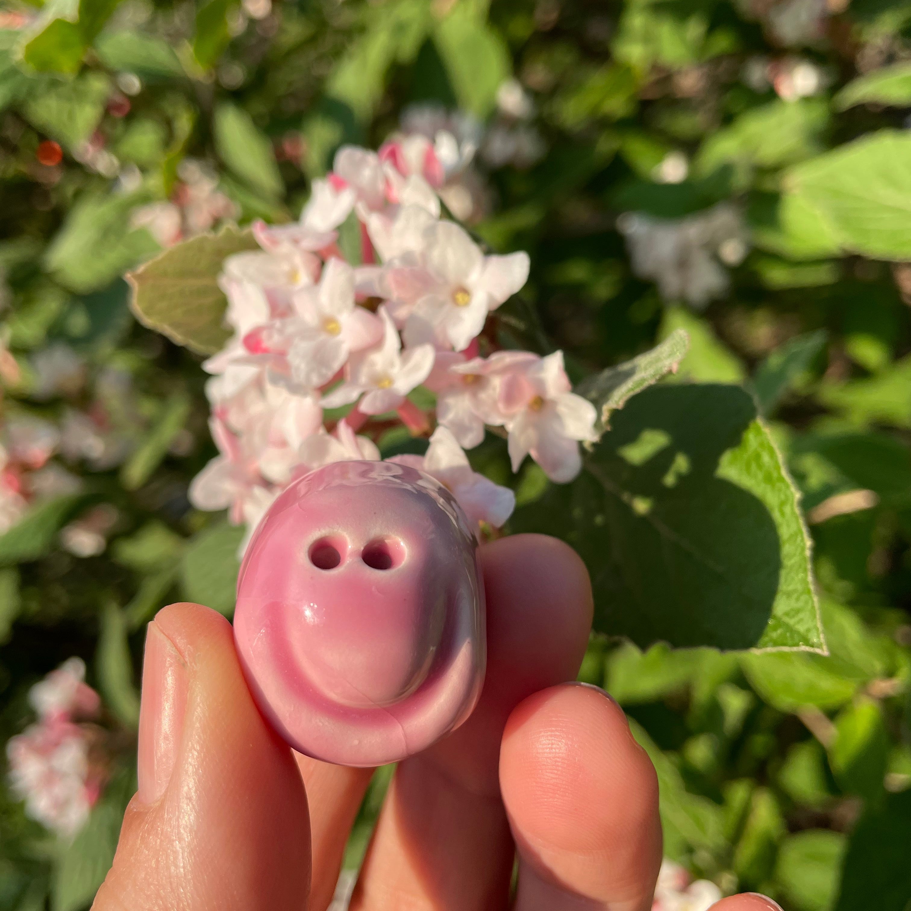 SPARK ⭕ Seeds are a reminder to smile through life’s trials