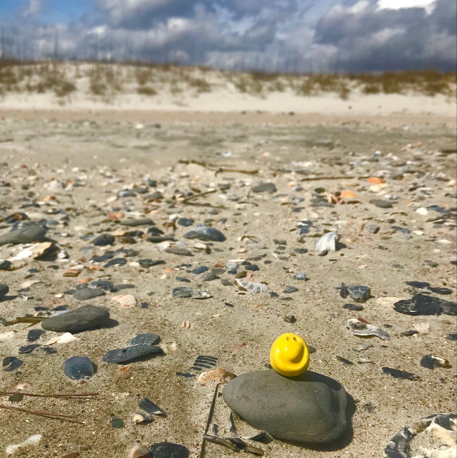 SPARK ⭕ Hurricane smiles