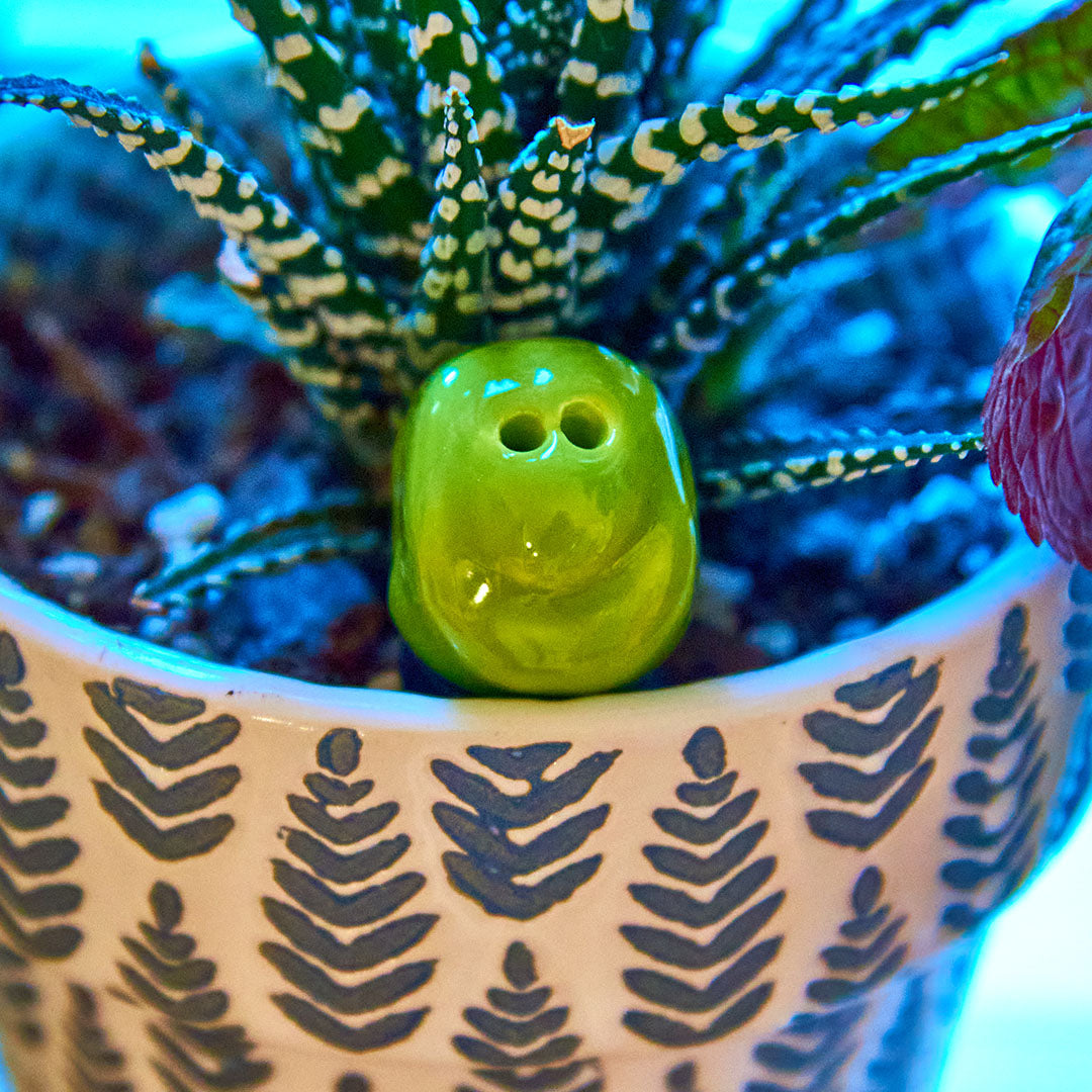 SPARK ⭕ We reap the harvest of the Seeds we plant