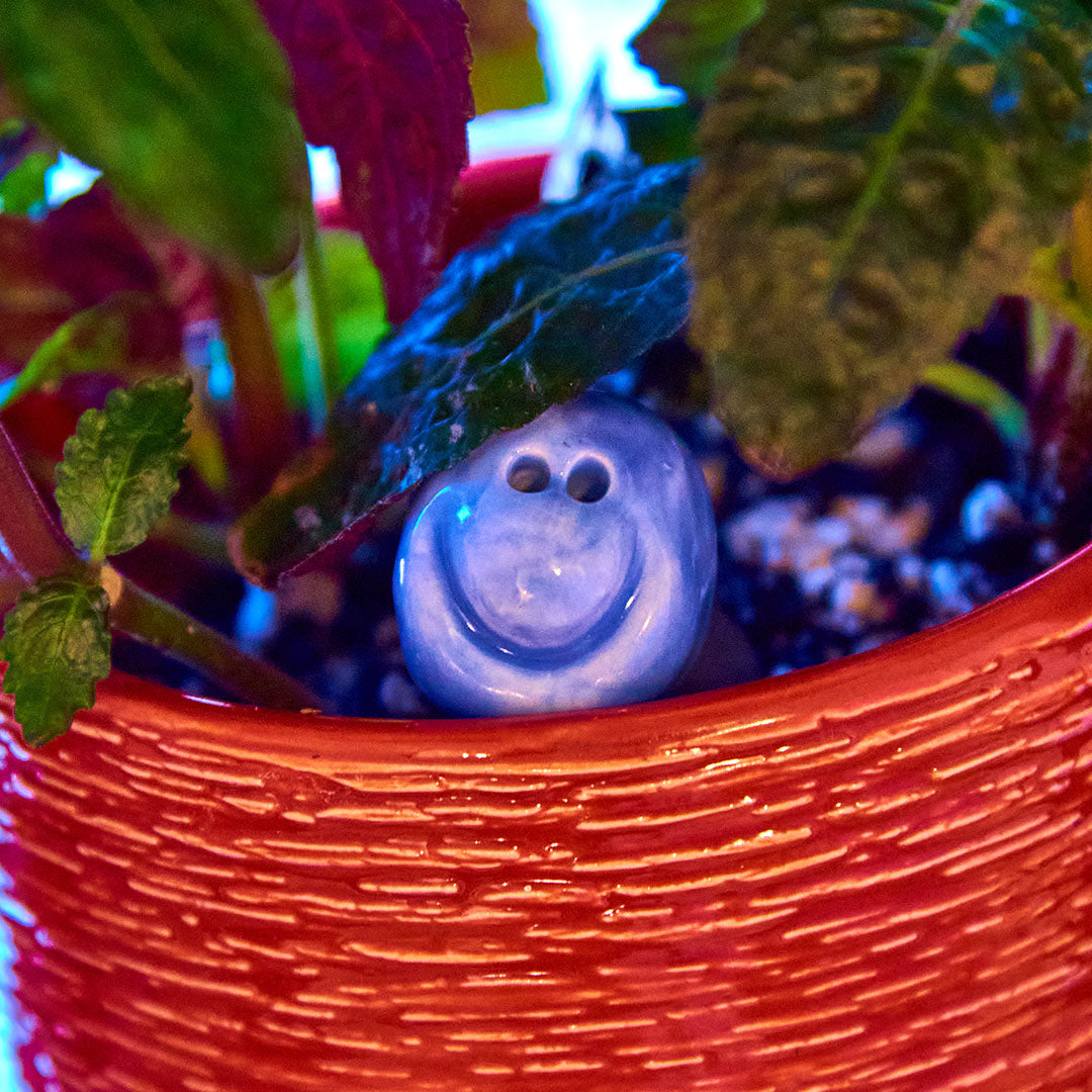 SPARK ⭕ Expressions in the form of a smile