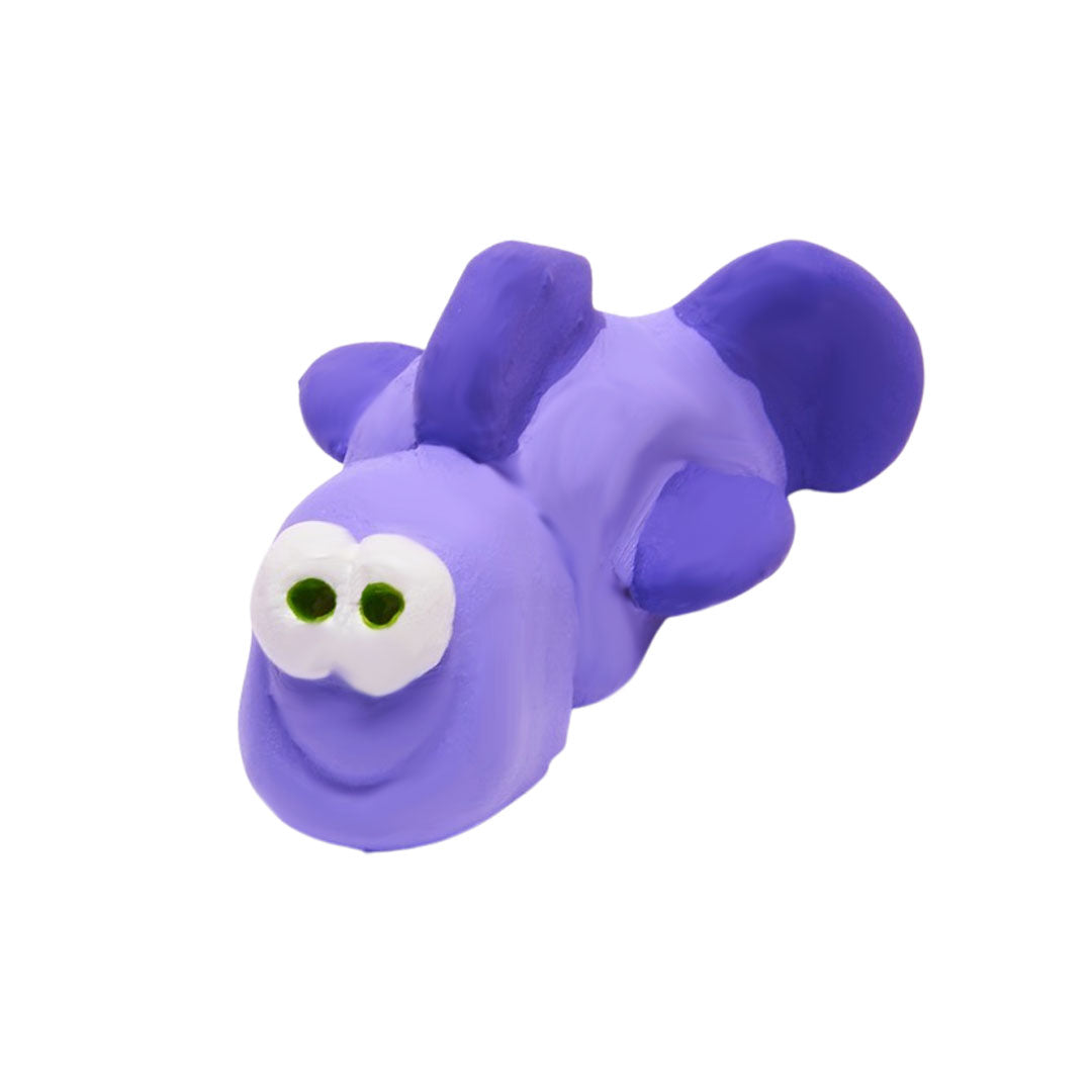 Finley the Fish