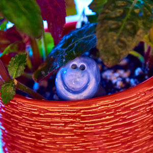 Cheer Up & Cheer On Bundle